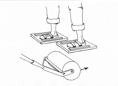 Rasen richtig anlegen: säen, düngen, mähen und vertikutieren